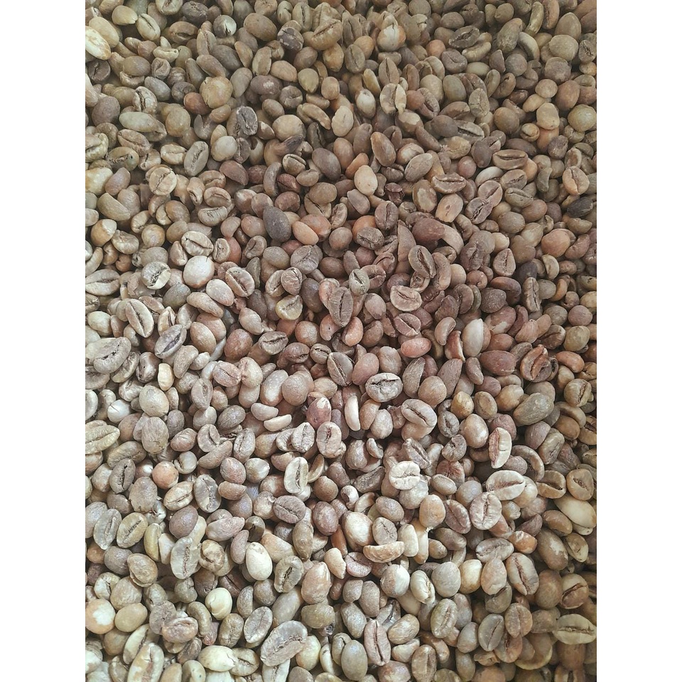 

Kopi Green Bean Robusta Pagar Alam