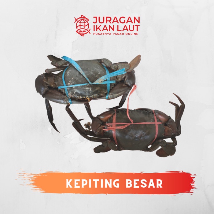 

Kepiting Segar Fresh Berkualitas - 1 Kilogram JABODETABEK