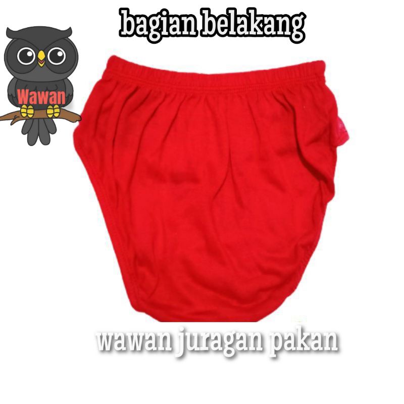 CELANA DALAM CD anak karakter