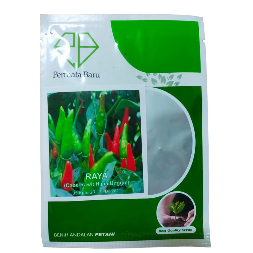 [SEKITAR 2.000 BIJI]Benih Cabe Rawit Hijau RAYA 10 Gram - Bibit Cabe