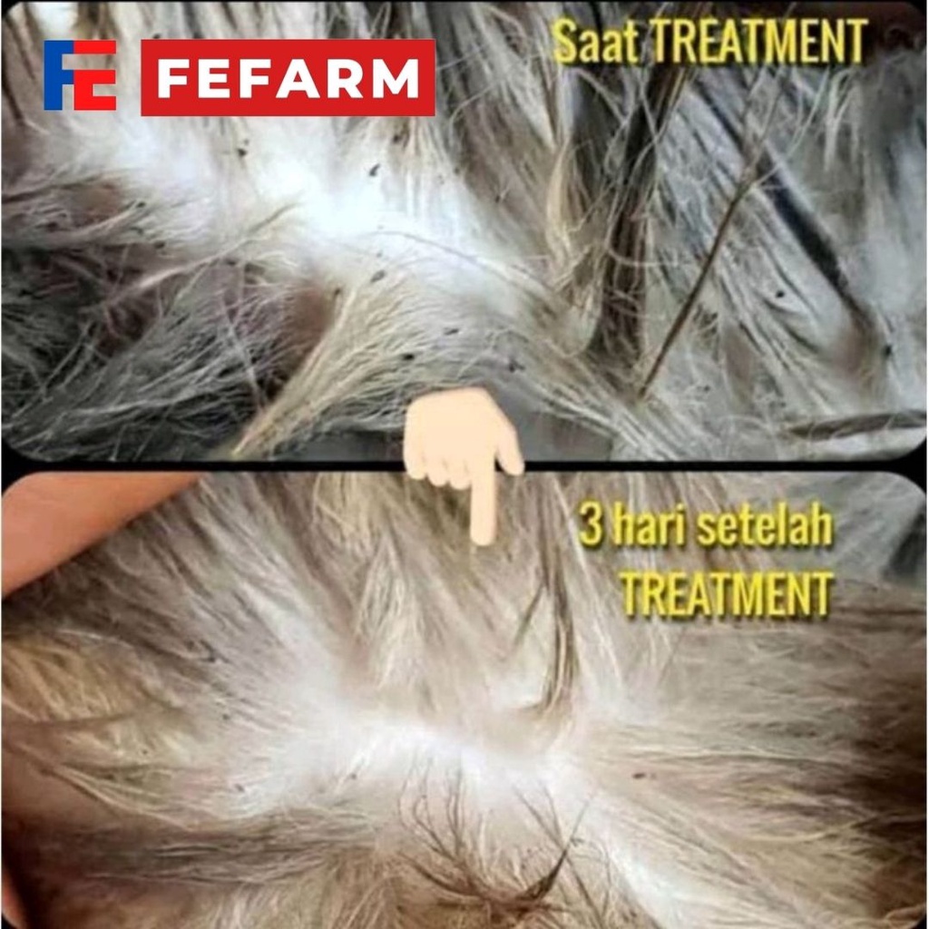 Shampo Kucing Anti Kutu Shampoo Cat Kitten Flea Tick CATSHAMP FEFARM
