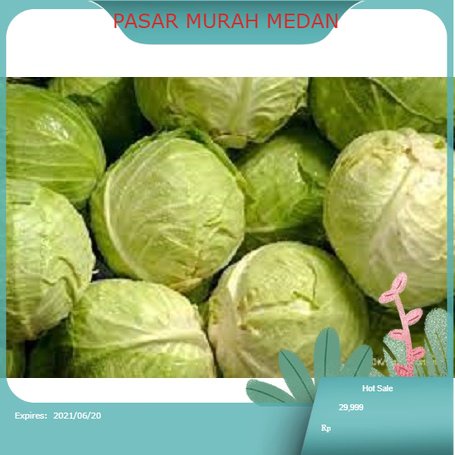 

Sayur Kol 1 Buah 500gr - 800gr Medan | PASAR MURAH MEDAN