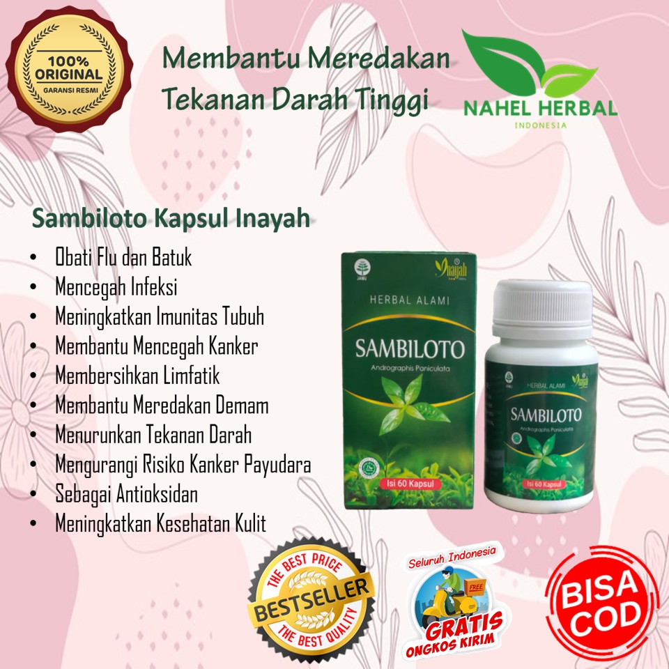 Paket Super Sambiloto Kapsul Inayah Original Bpom - Suplemen Obat Herbal Kolesterol Dan Nyeri Sendi 