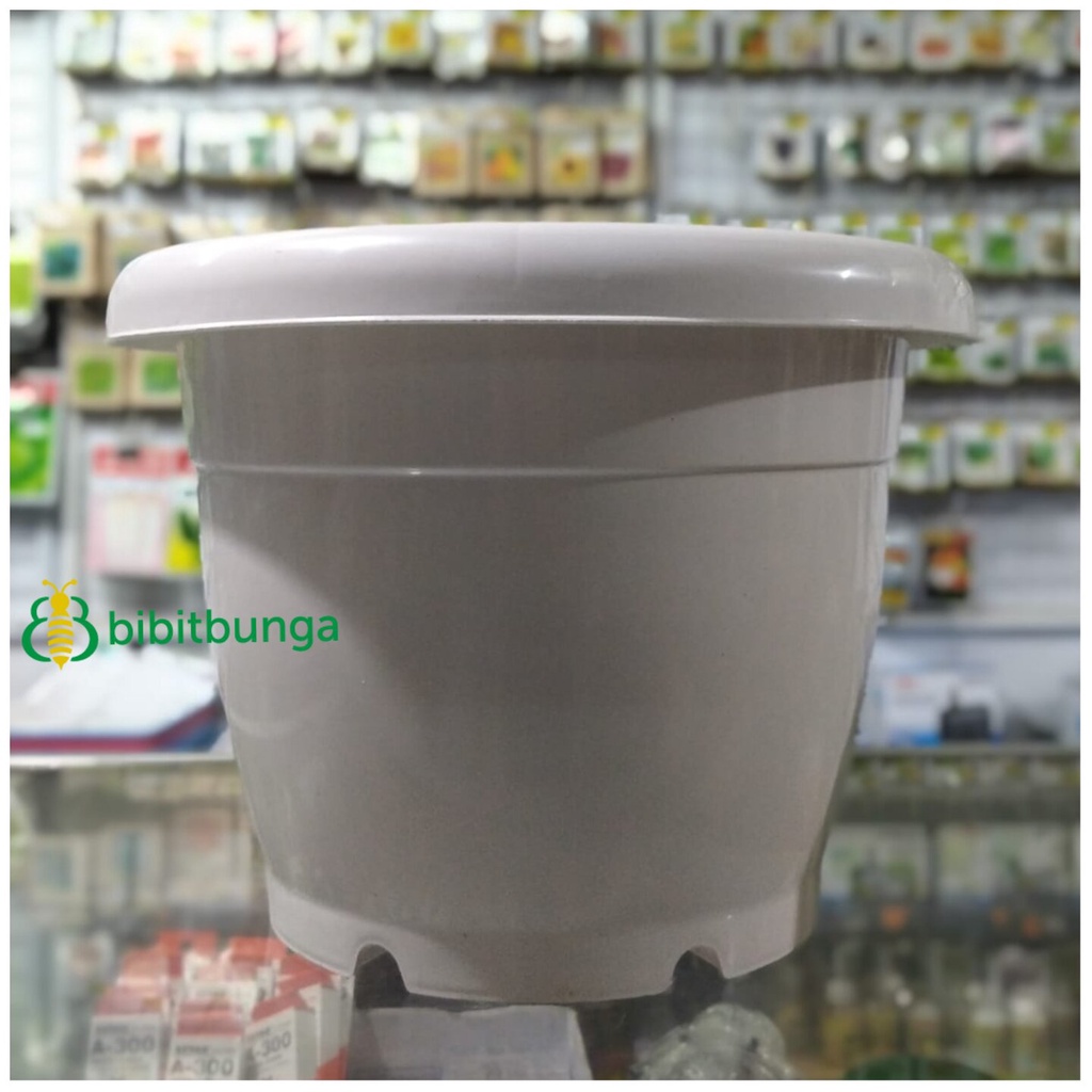 Pot Bunga Vinca 35 cm 35cm Putih Tanaman Hias Bunga Plastik Ukuran Besar