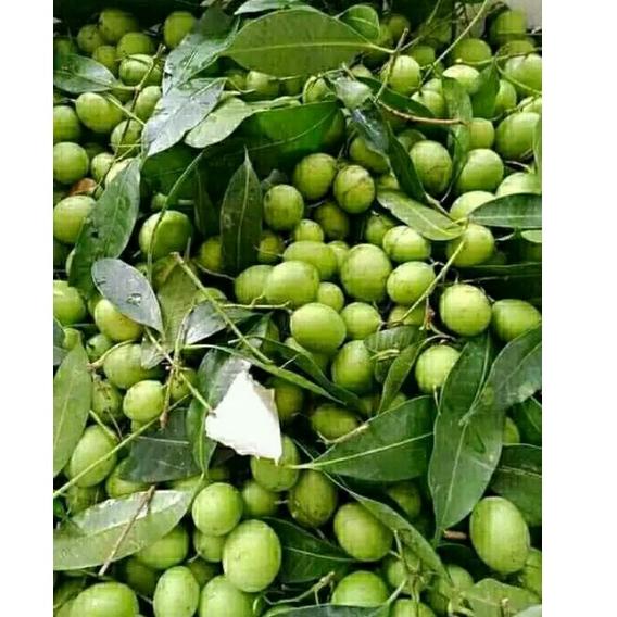 

[Y[48 ♫♪] BUAH GANDARIA BUAH JATAKE JENTAK MUDA 250 GRAM-kekinian