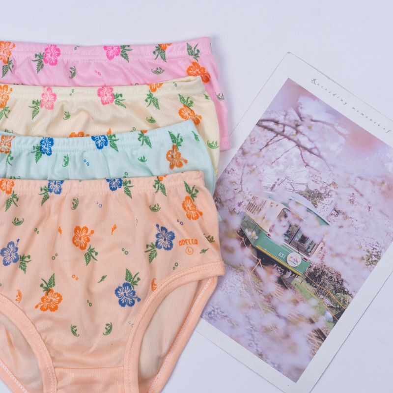 CD MENS/HAID/MENSTRUASI/CELANA DALAM WANITA