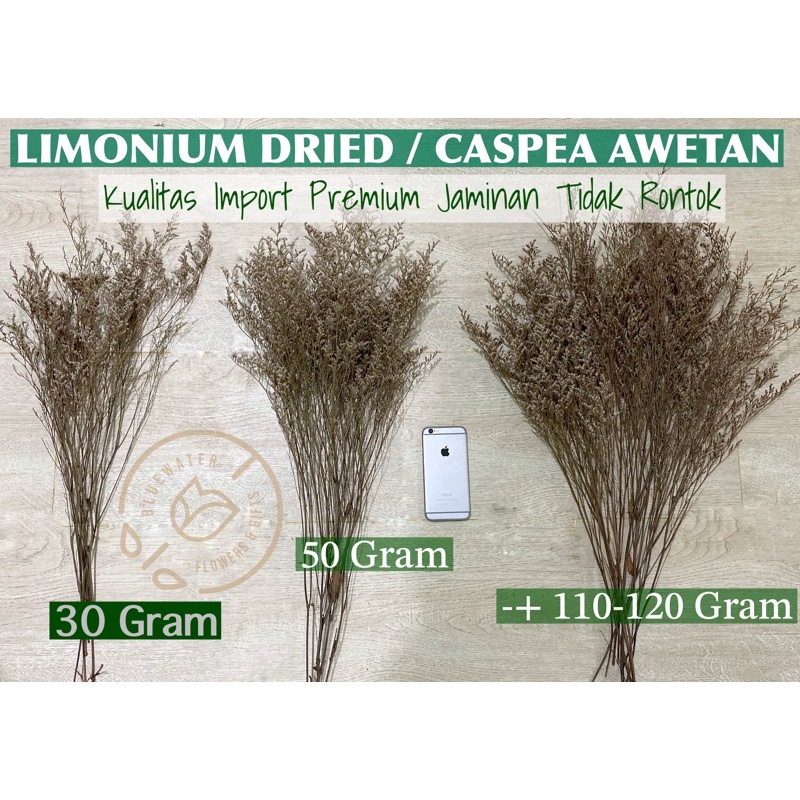 [ 1 ikat -+120 gram ] Limonium Dried Brownie Flowers Caspea Lover Grass Awetan Grosir Bunga Kering D