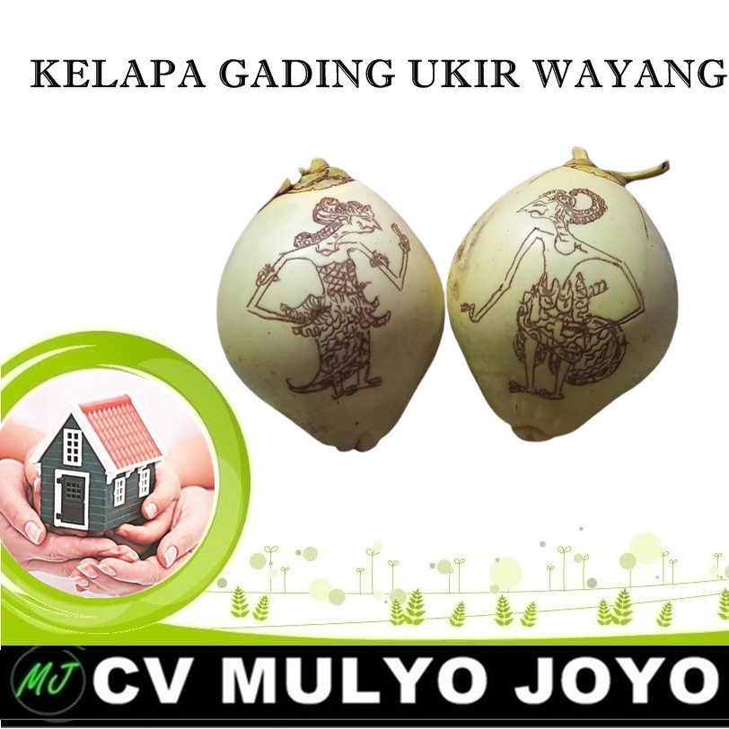 KELAPA GADING KUNING GAMBAR WAYANG 7 BULANAN TINGKEPAN