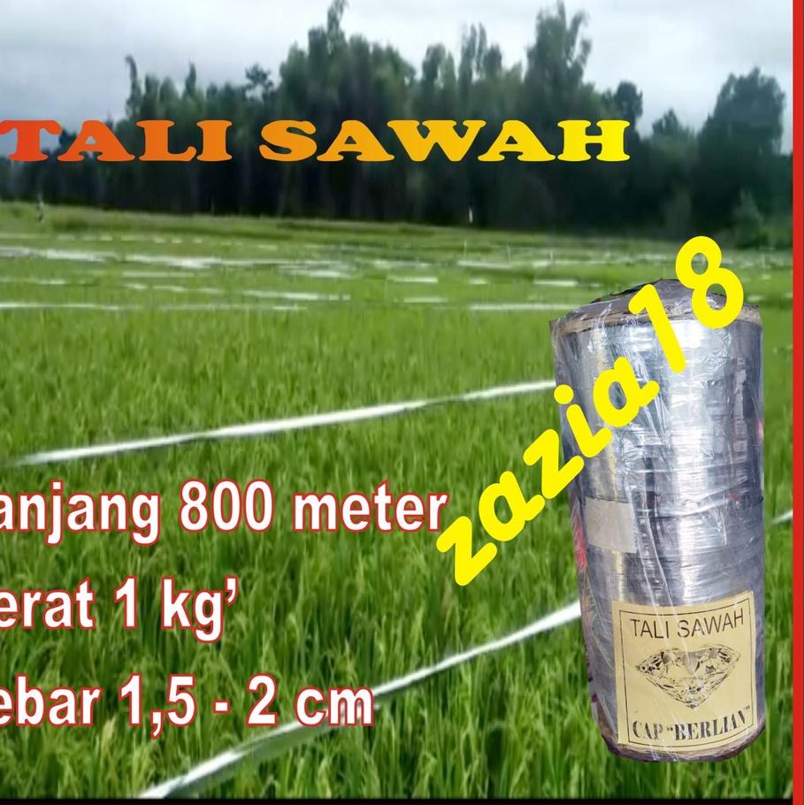 ㊒ Tali perak/Tali sawah Pengusir burung $