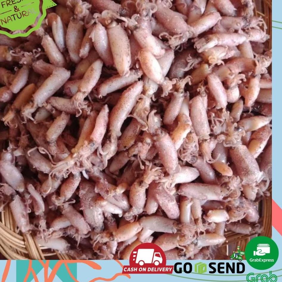 

Terbaru 3.3 BABY CUMI CUMI KERING ASIN 1 KG 2-4cm FRESH