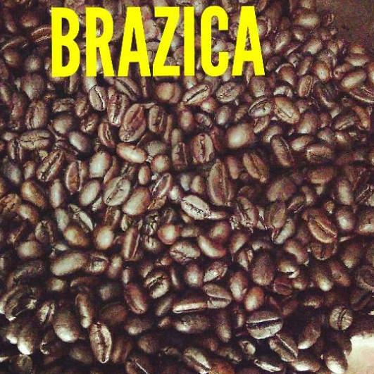 

Diskon✔️Kopi Biji / Bubuk Robusta Lampung "BRAZICA" 500 Gram Gold Quality|RA6