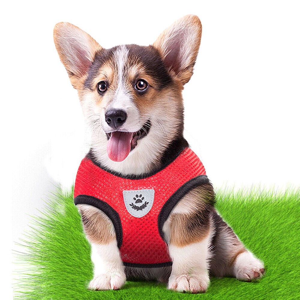 Harness Rompi 092-S Baju Vest Body Pet Leash Kucing Anjing Hewan Kecil