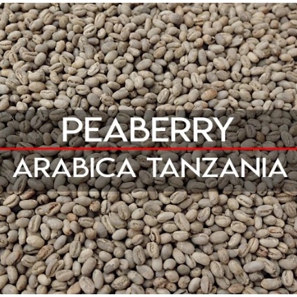 

Green Bean Peaberry Tanzania Arabica 1Kg Biji Kopi Mentah