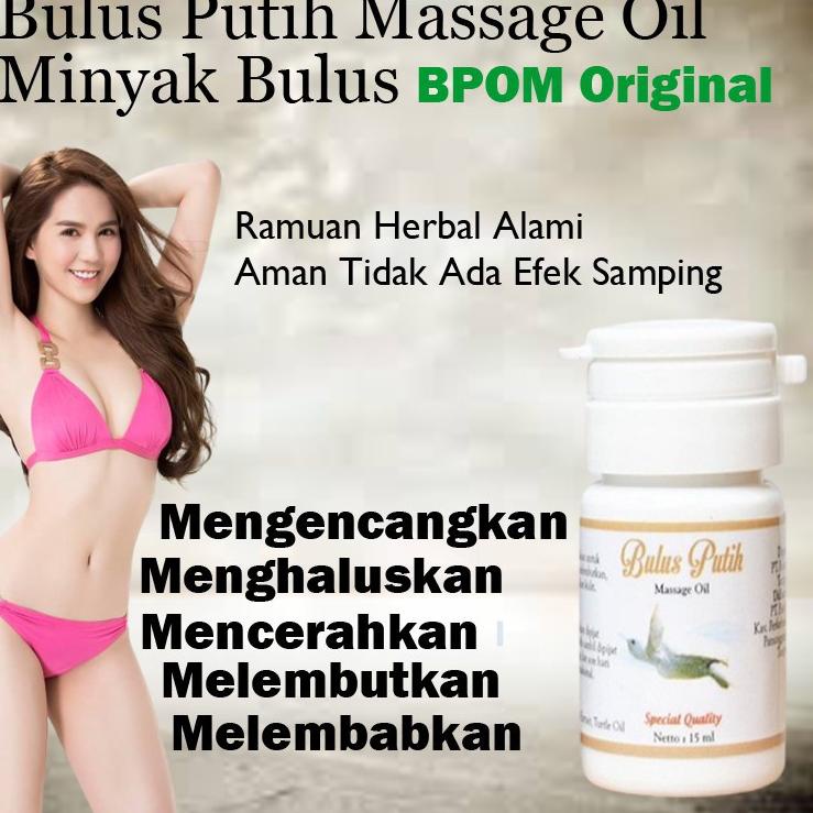 Promo Terbatas--Minyak Bulus Putih Asli Original Pengencang Pembesar Pemanjang MR P Payudara Bokong 