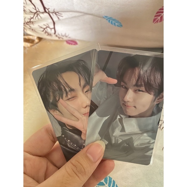 jungwon silau pair jungwon wvj