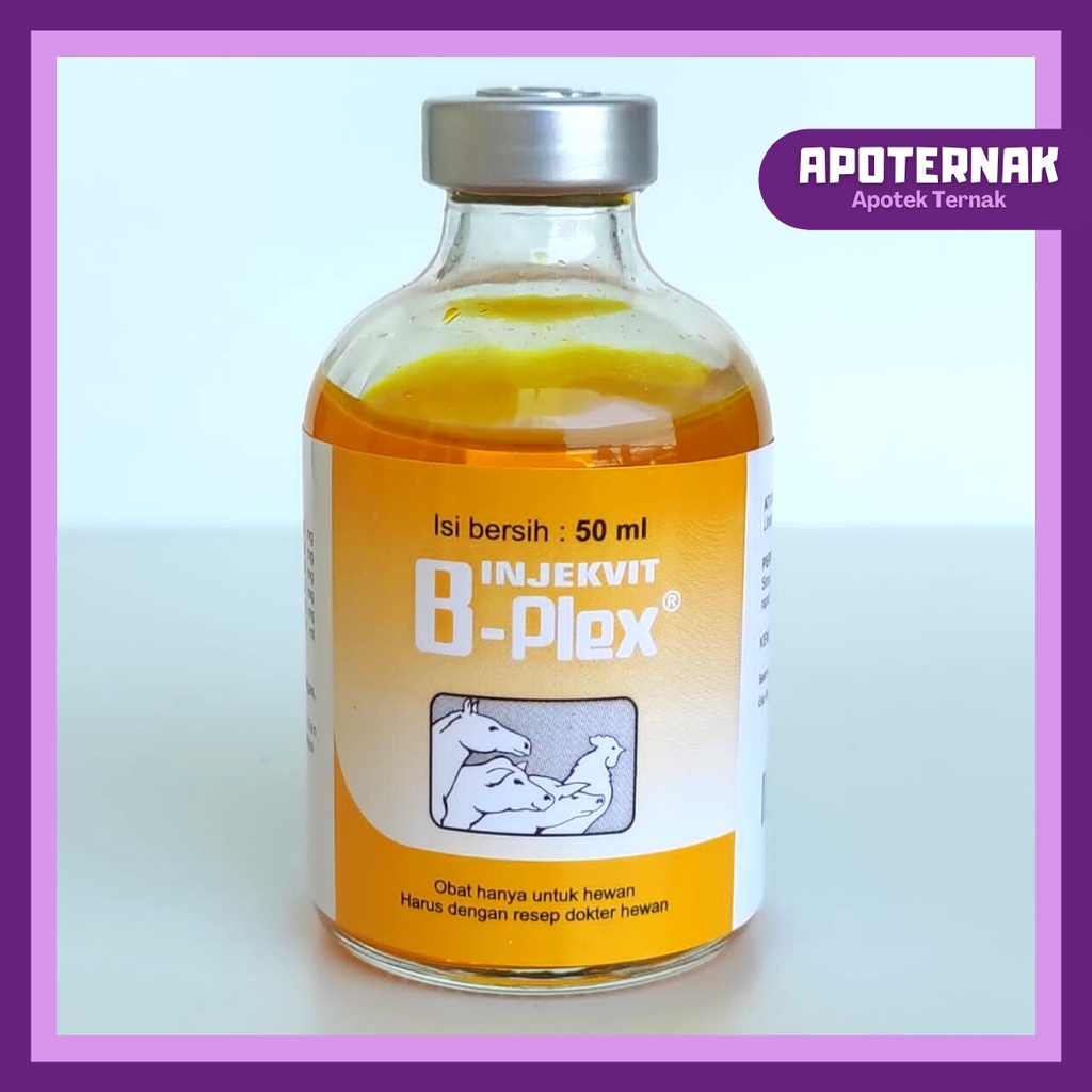 INJEKVIT B-PLEX 50 mL Inj | Tingkatkan Produktivitas dan Imun Hewan B Komplek B Complex | MEDION | Apoternak