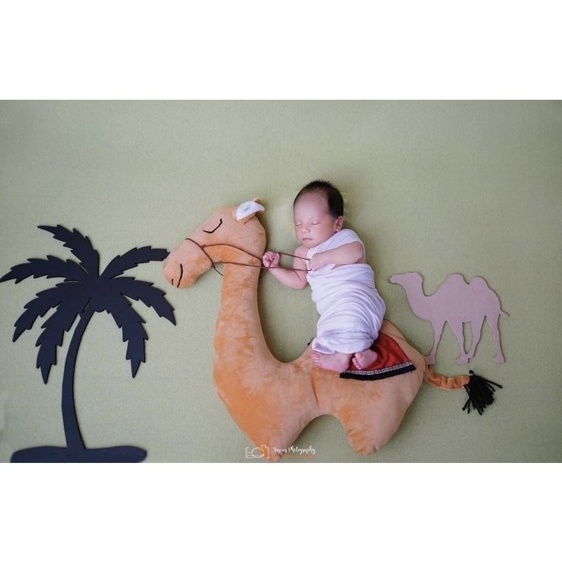Posing Pillow Properti Photoshoot Bayi Newborn Boneka Hewan Newborn
