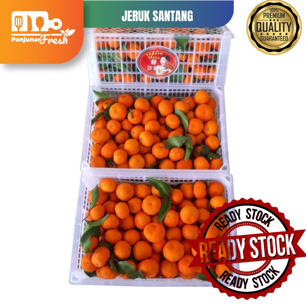 Jual Buah Jeruk Santang Manis Tanpa Biji Shantang Mini Baby Gr Shopee Indonesia