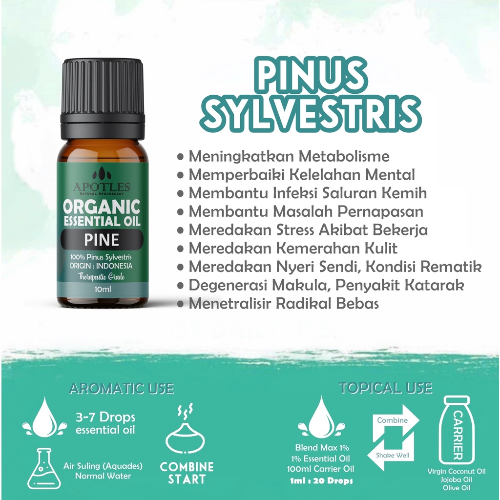 Pine Needle Essential Oil - Minyak Aromaterapi Murni Cemara 10ml