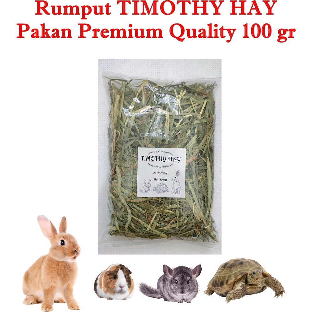 Rumput TIMOTHY, ALFALFA, OATEN, OAT & BARLEY HAY, DACTYLON HAY Premium Quality 100 gr Makanan Kelinc
