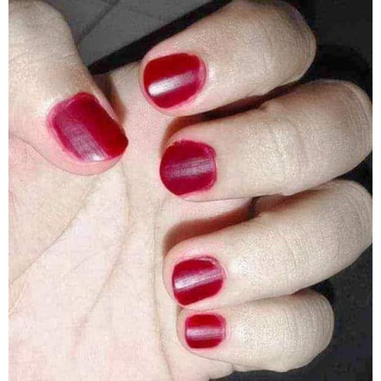 PACCI KUKU HENNA KUKU HALAL