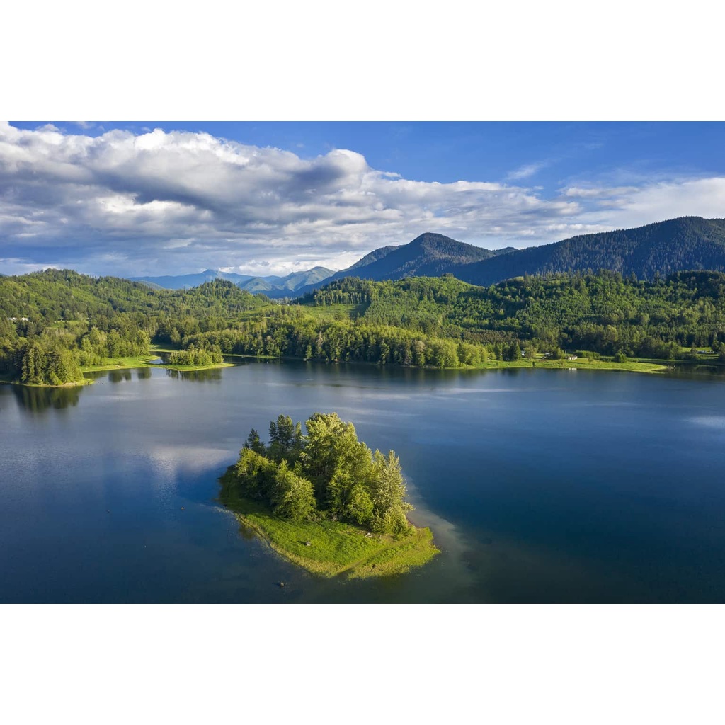 

ALDER