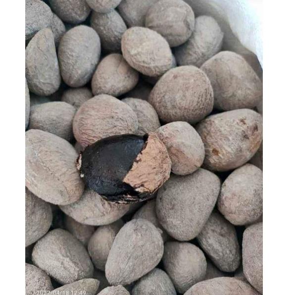 

ヤ Kluwek pucung Super 1 kg ゅ
