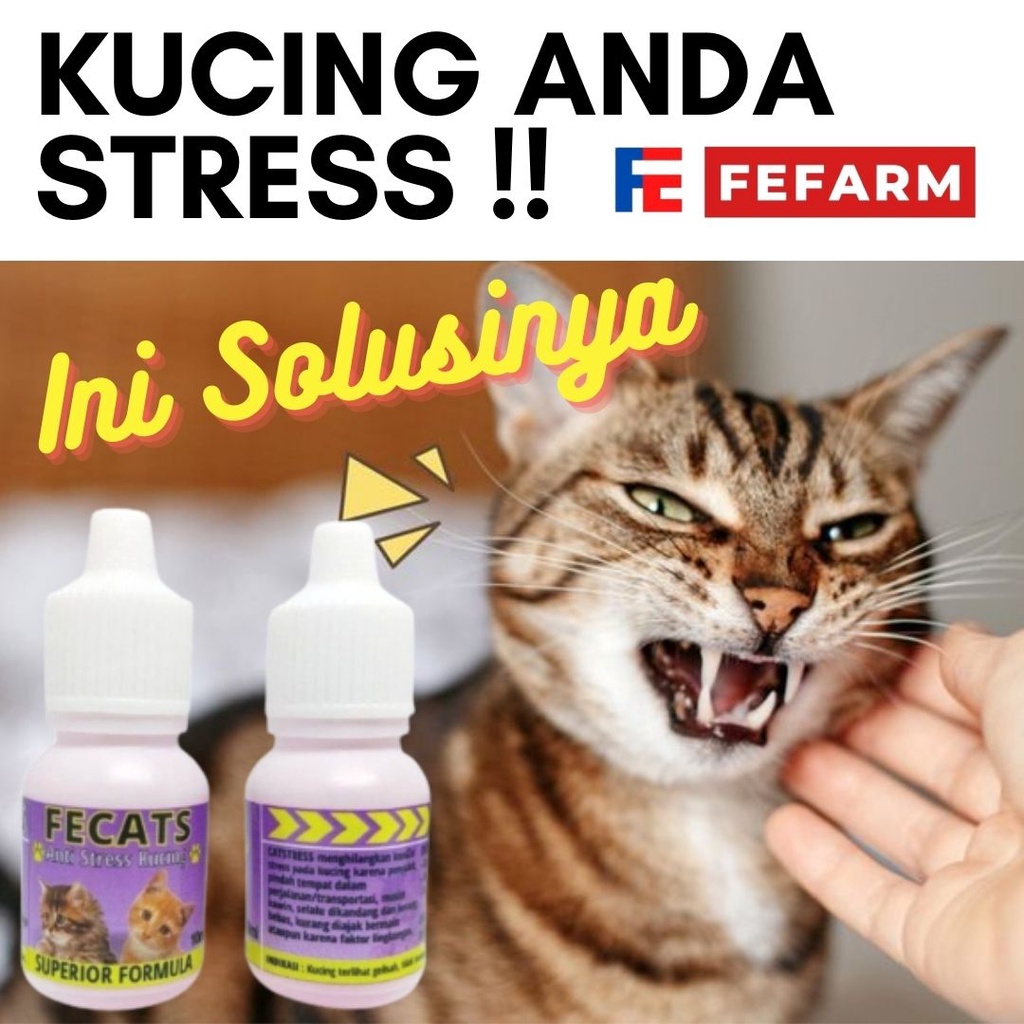 Obat Kucing Anti Stres Penghilang Stress Kucing Cat Kitten Fecats FEFARM