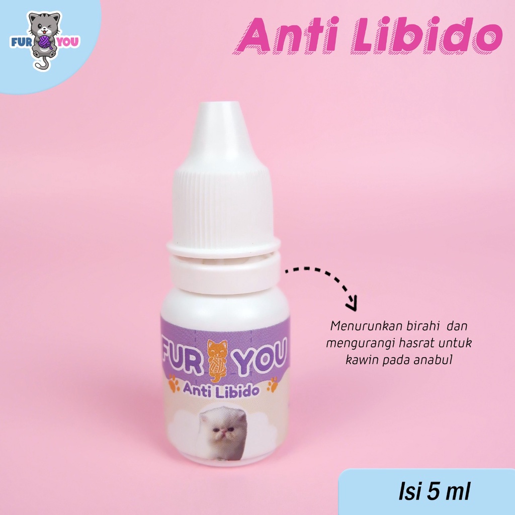 Penurun Libido kucing