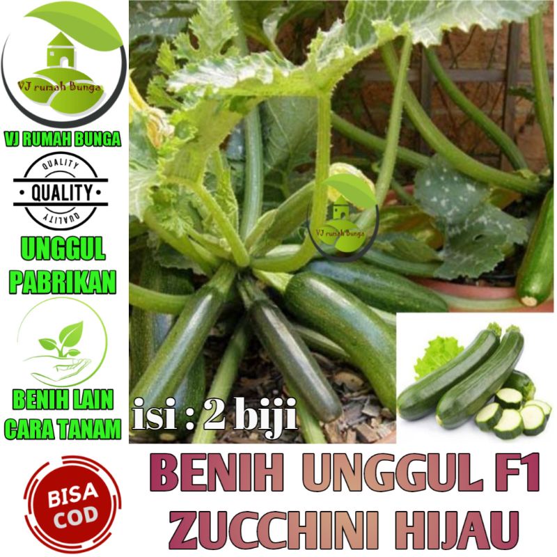 Benih Bibit Zucchini Hijau Jewel Hibrida Timun Jepang Zuchini