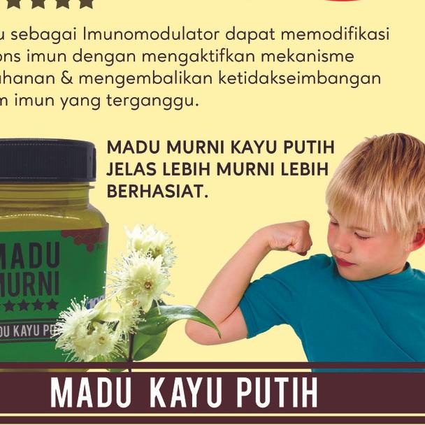 

66R✡ Madu Murni Kayu Putih Cajuput ASLI 275gr Extra Propolis Bee Polen By Indokuliner Barang Baru
