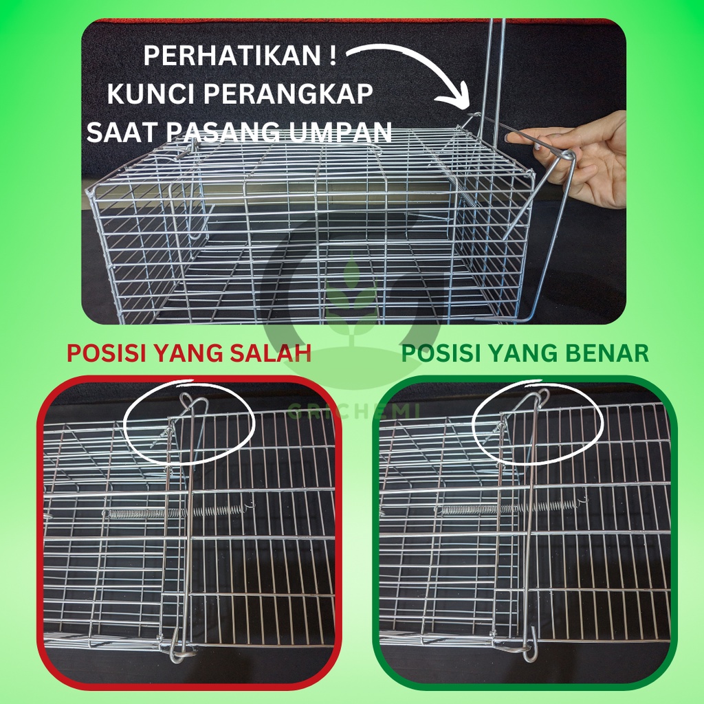 PERANGKAP TIKUS/JEBAKAN TIKUS/RAT SINGLE TRAP