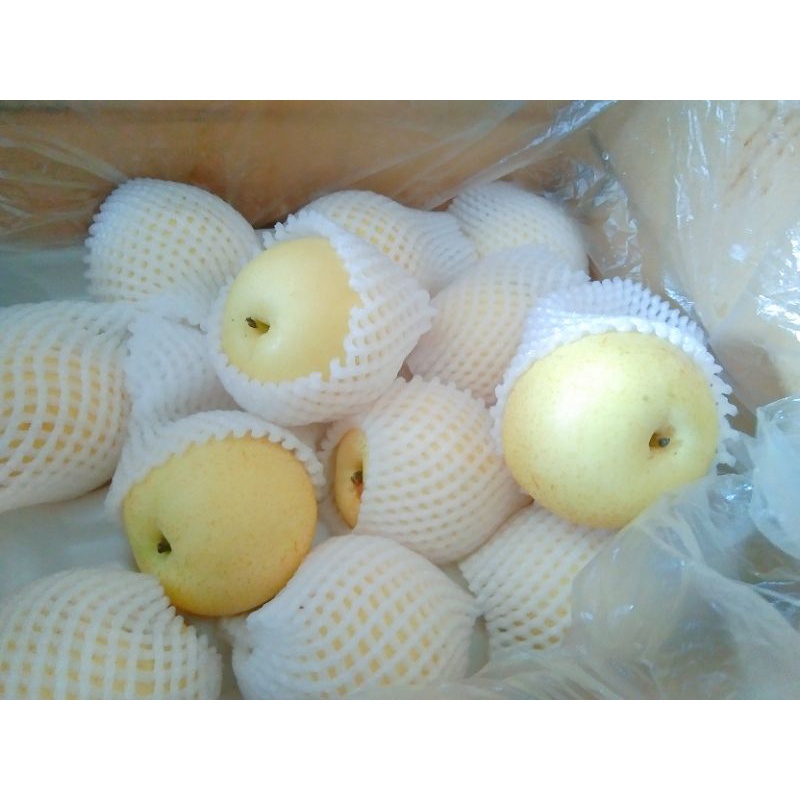 

PIR MADU CENTURY 500 GR