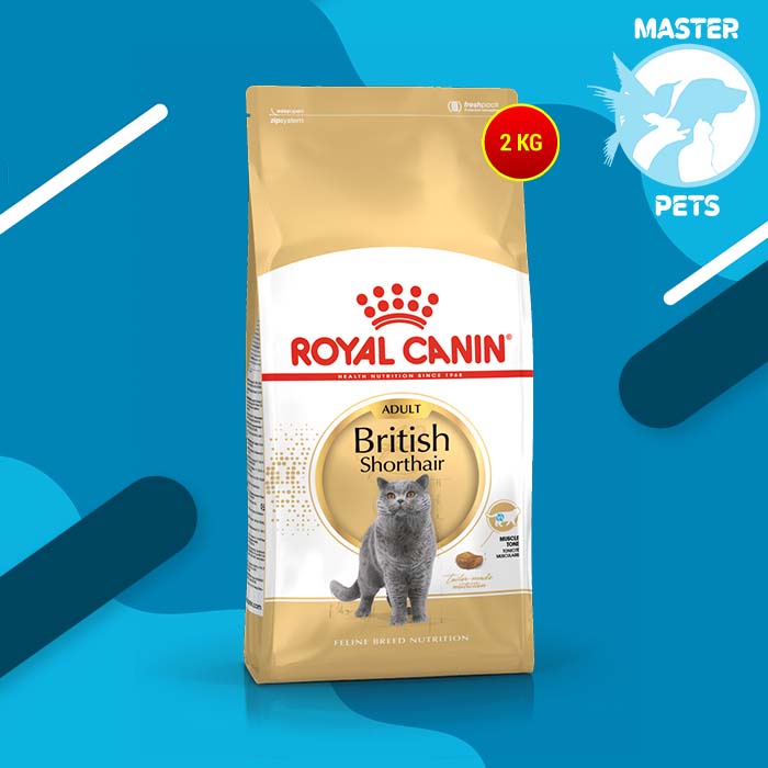 Royal Canin British Shorthair 2 kg RC Britis Short hair 2Kg Makanan Kucing dewasa