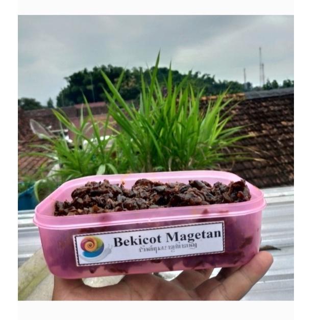 

✚ Rica Goreng Bekicot Best Seller 400 Gram ザ