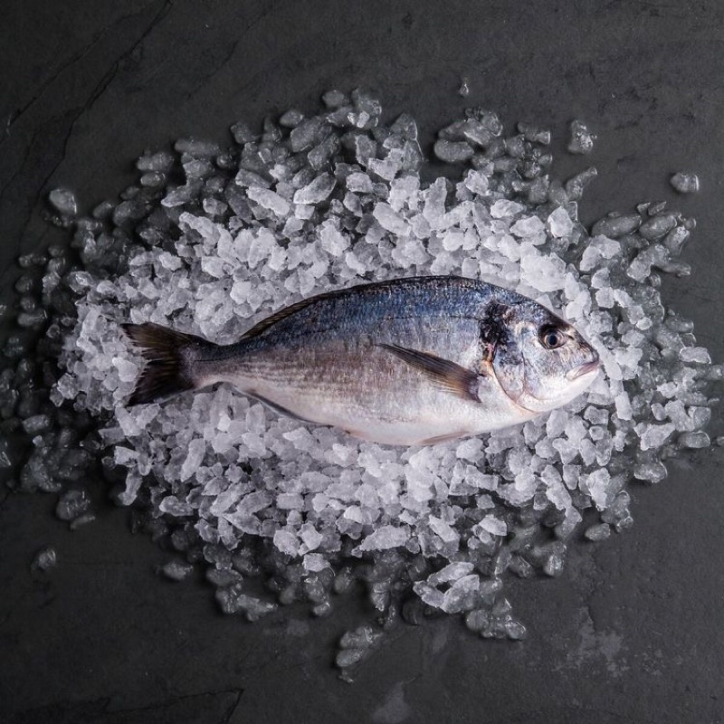 ikan kakap / kakap merah segar cherilstore makanan instan siap saji