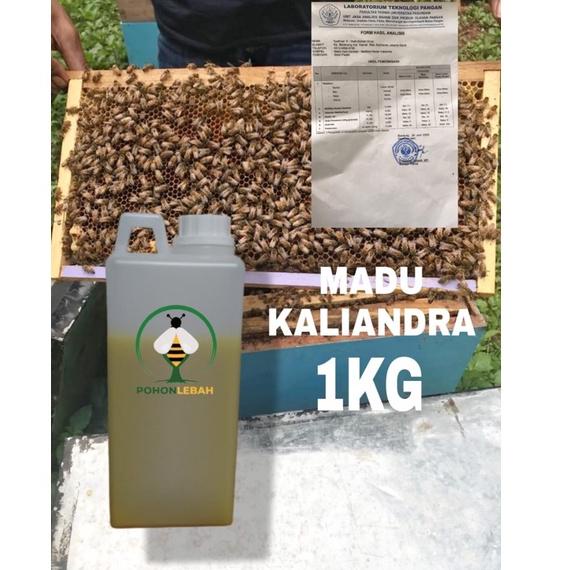 

✨Promo✨ Hari Ini Madu asli nektar kaliandra, raw honey netto 1000 gr serbuuu !