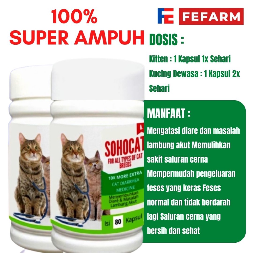 Obat Mencret Kucing / Obat Diare Kucing Mengatasi Diare FEFARM