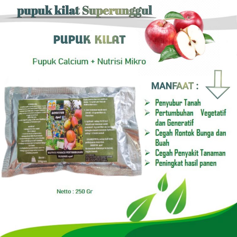 Pupuk Booster Organik Pelebat Buah Apel Dan Perangsang Agar Cepat Berbuah