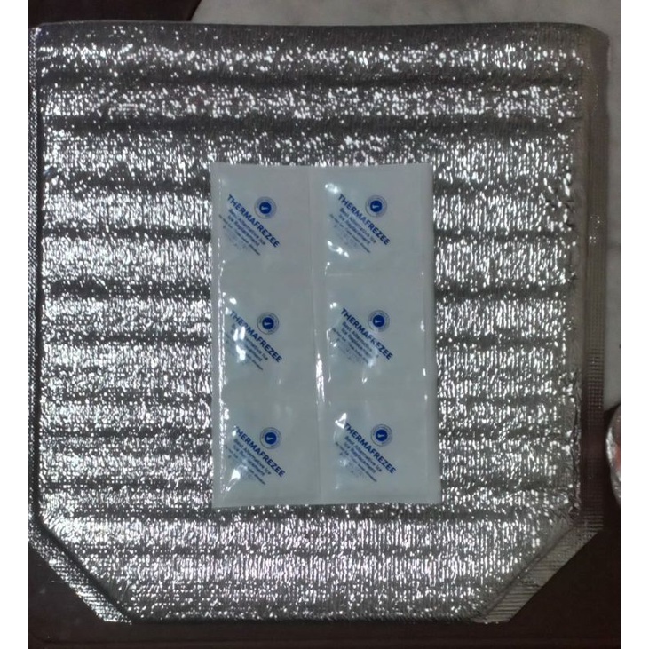 

Insulated Bag & 6 Cell Ice Gel