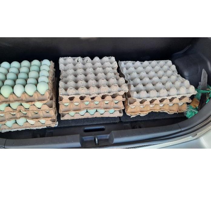 

❀ Telur Asin SUPREM JUMBO ISI 10 BUTIR べ
