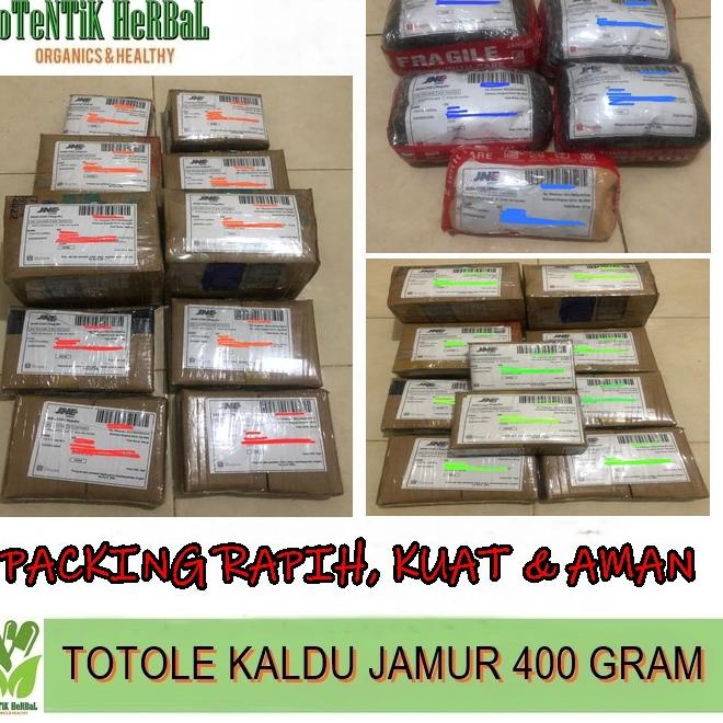 

✨STAR✨ Totole Kaldu Jamur Bumbu Masak Dapur Penyedap Rasa Halal MUI 400 GRAM !