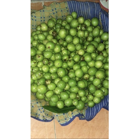 

Buah Gandaria / Buah Jatake / Buah Ramania