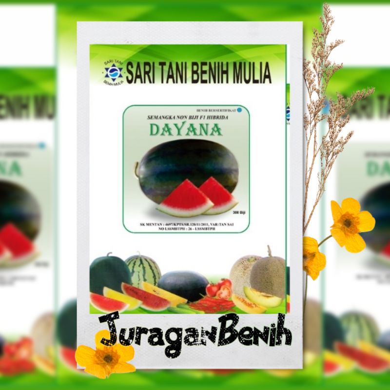 Benih Semangka Non Biji Dayana F1 (300 Biji) Asli Murah Banyak Diskon