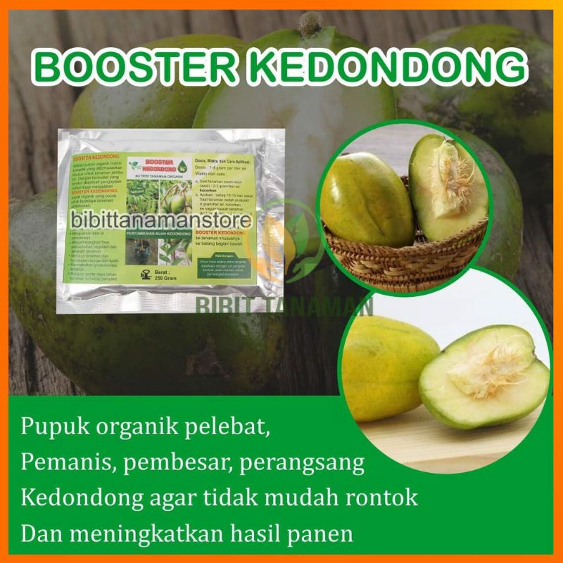 Pupuk Organik Pelebat Buah Dan Booster Kedondong Cepat Berbuah Lebat