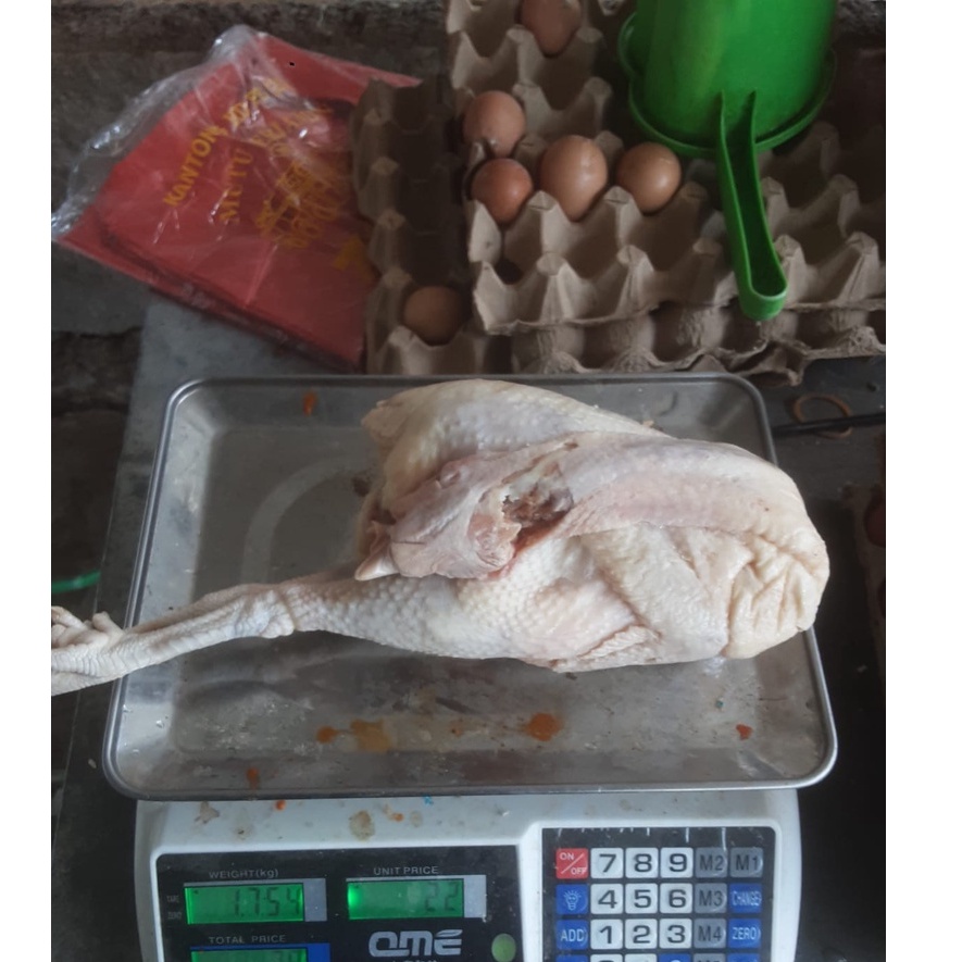 Jual Ayam merah Frozen karkas 1,4kg/ayam merah/ayam tua/ayam afkir