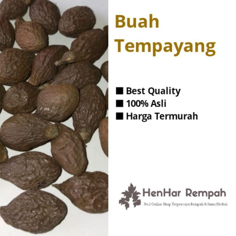 

✹Kirim Langsung✥ TESFH Buah Tempayang / Buah kembang semangkok / Beng ta hai 100 gram 95 Grosir