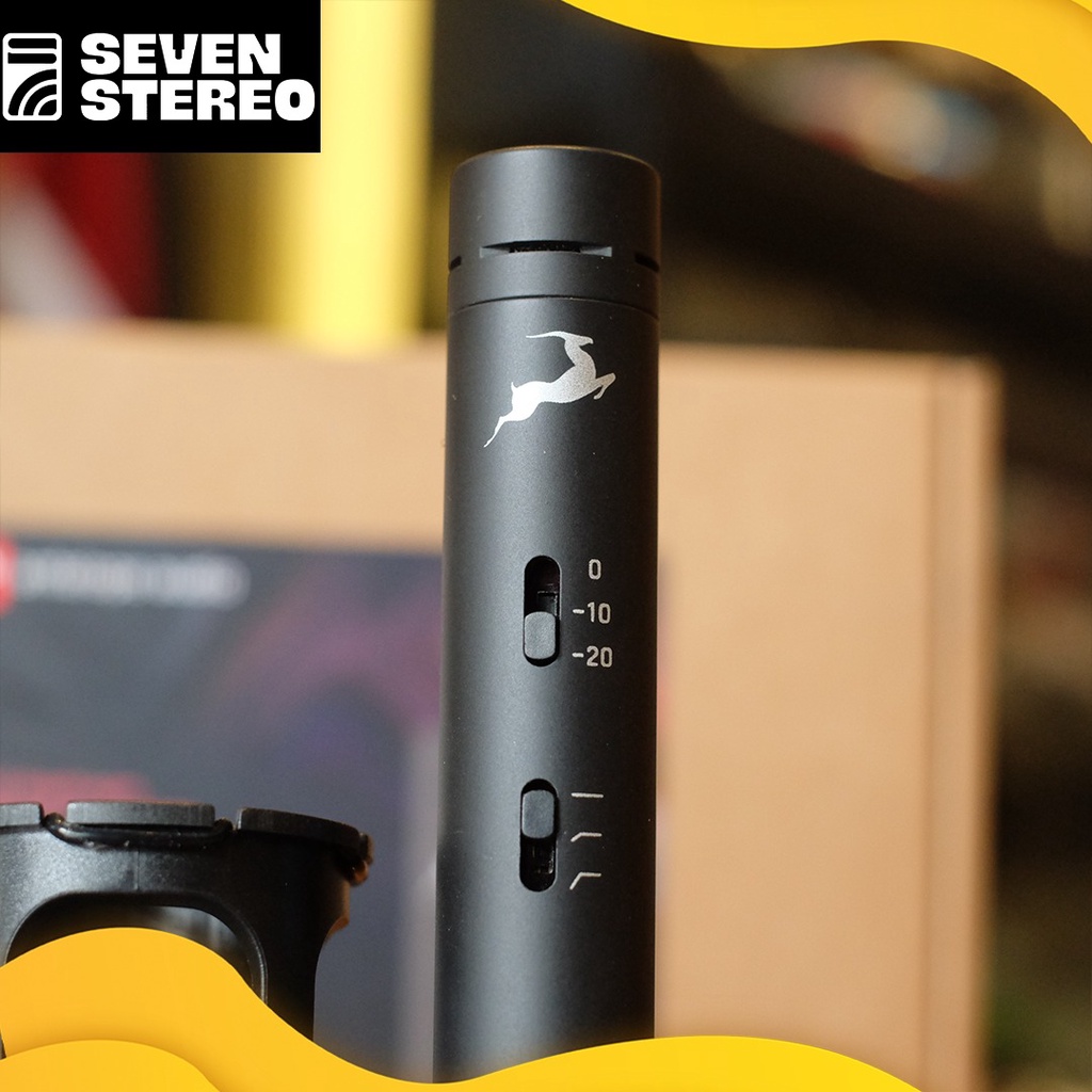 ANTELOPE AUDIO Edge Note Modeling Mic