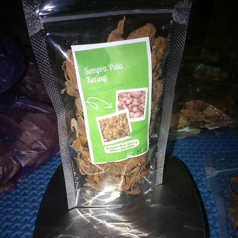 

Sempra Pala Kering Asli Berkualitas