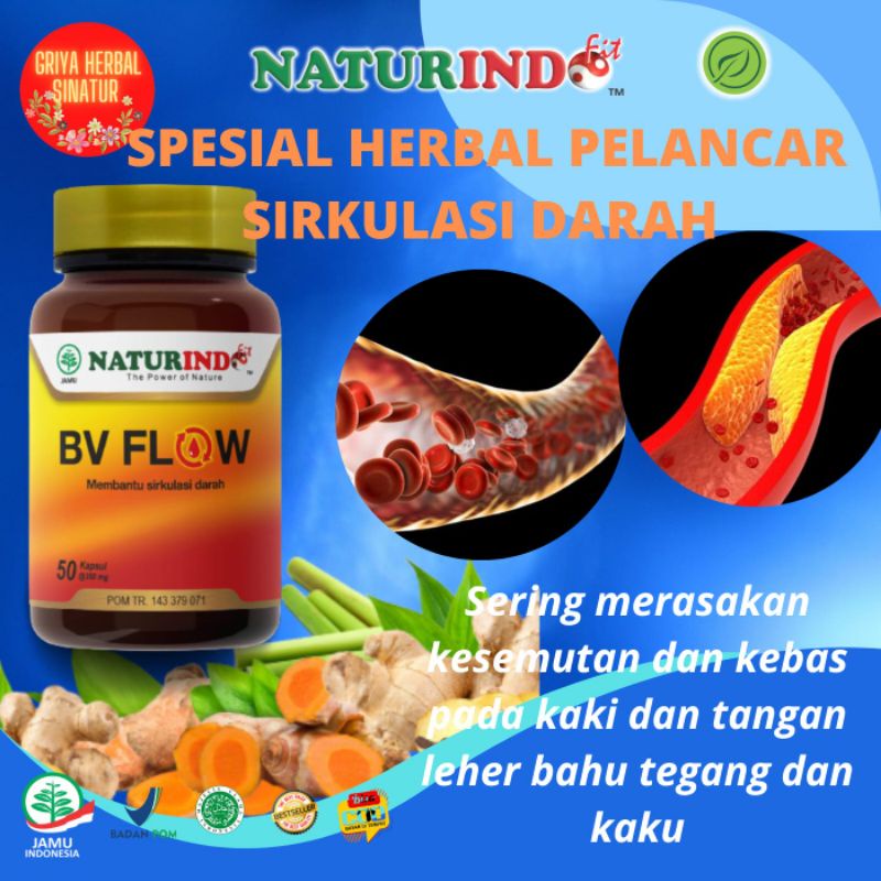 BV FLOW obat Herbal atasi penyumbatan pembuluh darah